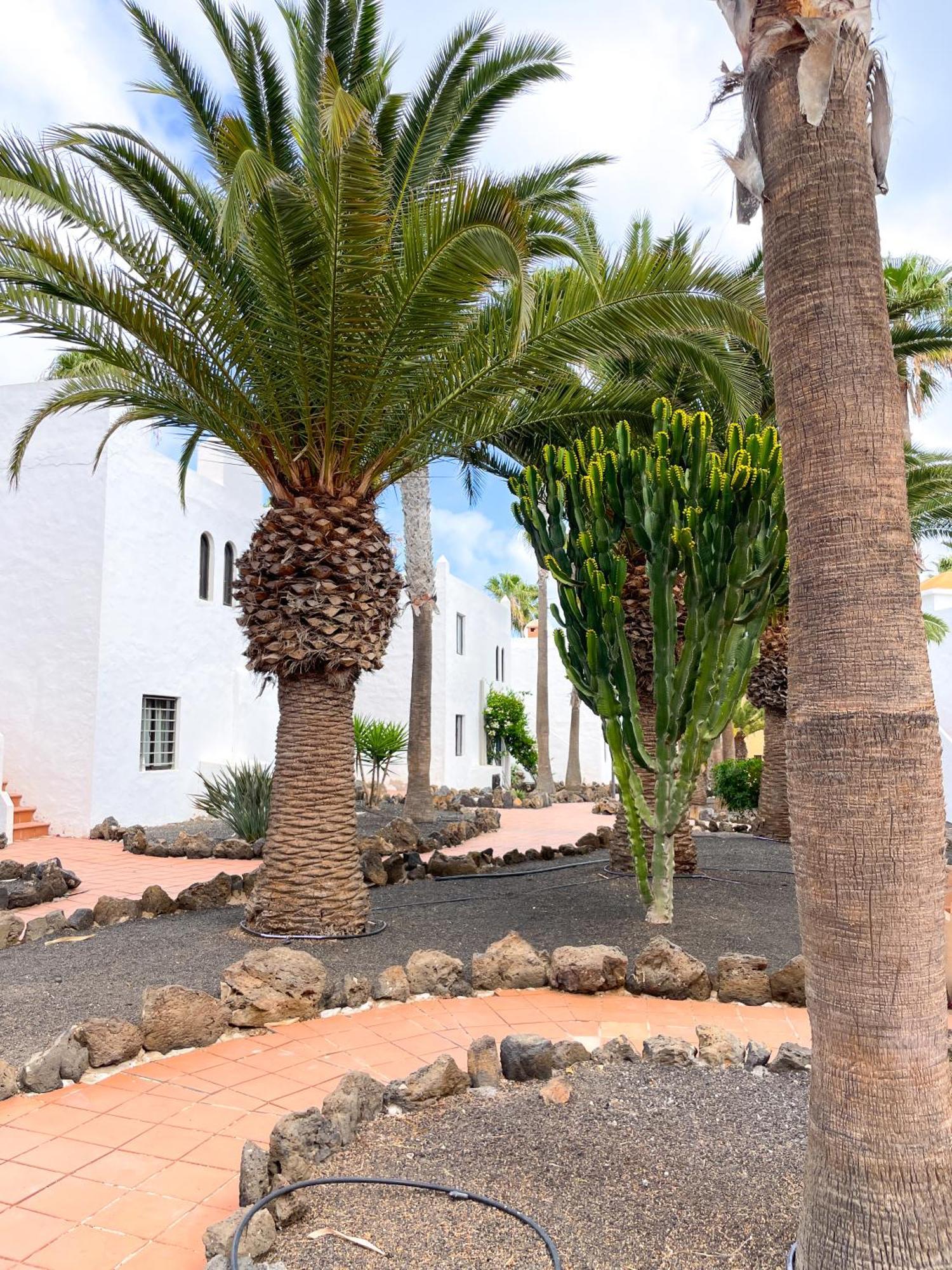 Stefan'S Place Corralejo Exterior photo